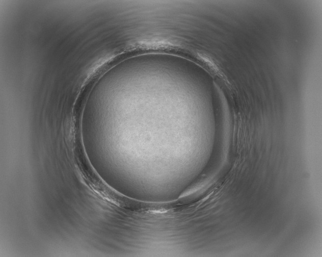 X0000052640583200507082008