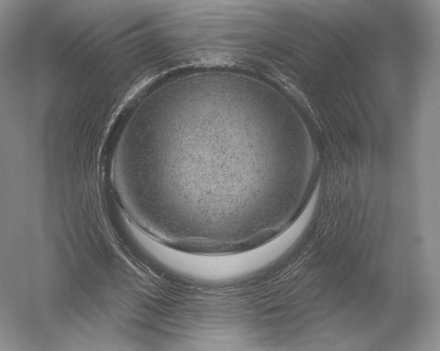 X0000052640584200507082008