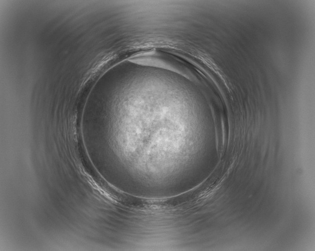 X0000052640585200507082008