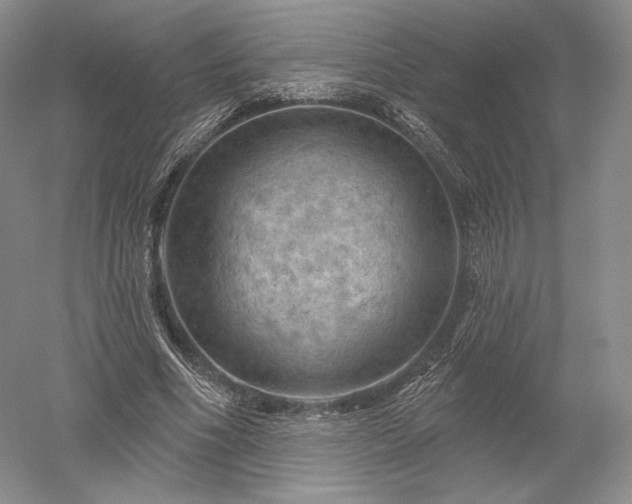 X0000052640586200507082008