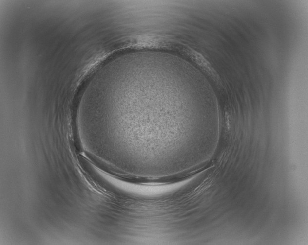 X0000052640588200507082008