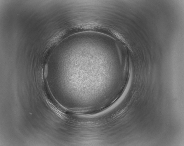 X0000052640589200507082007