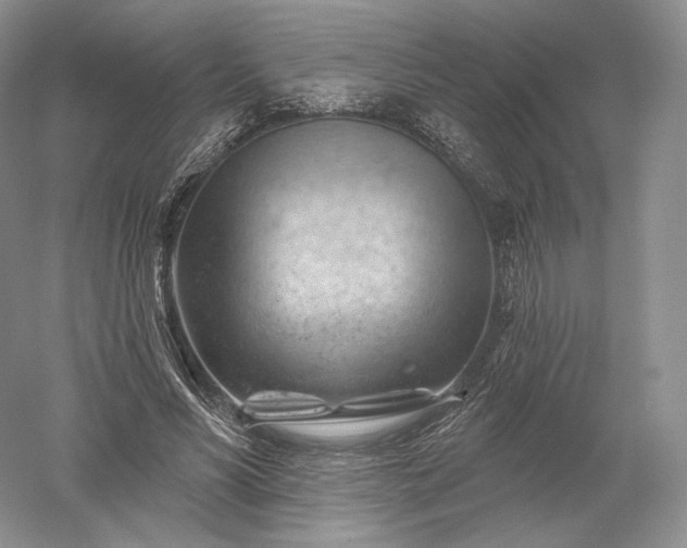 X0000052640590200507082007