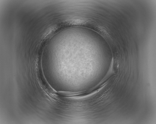 X0000052640591200507082007