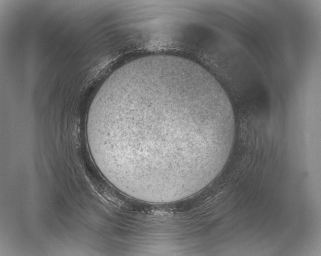 X0000052640592200507082007