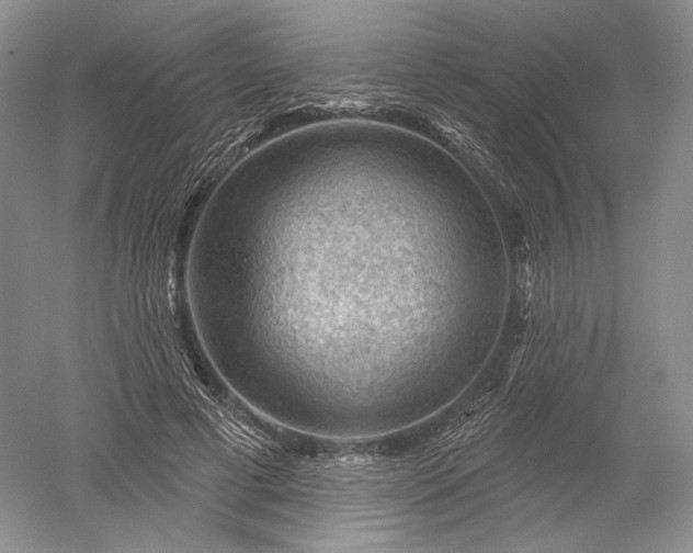 X0000052640593200507082007