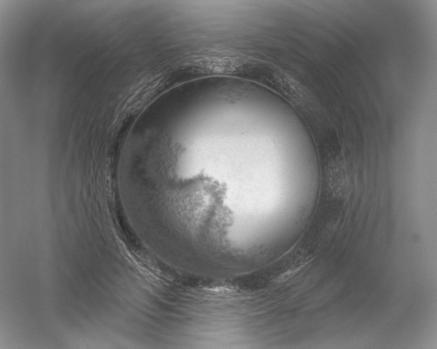 X0000052640594200507082007