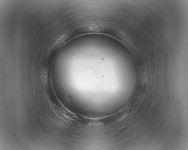 X0000052640595200507082007