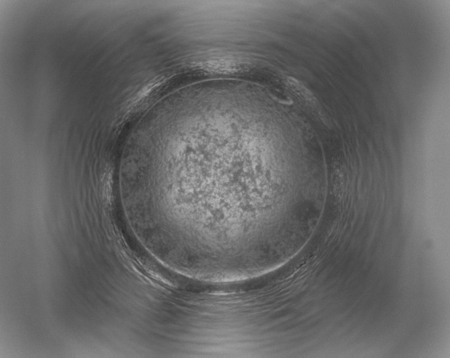 X0000052640596200507082007