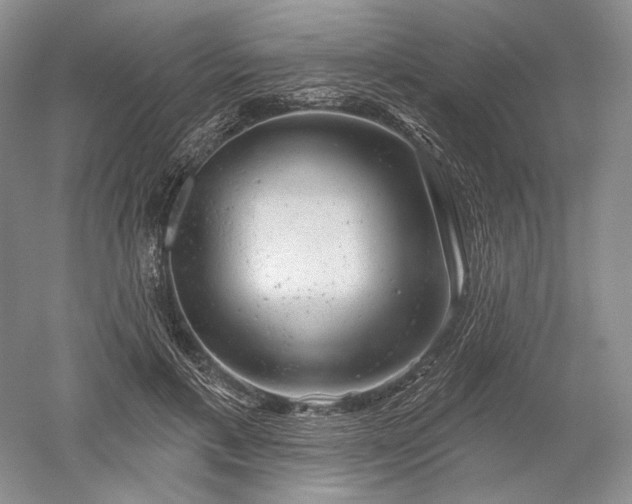 X0000052640597200507082007