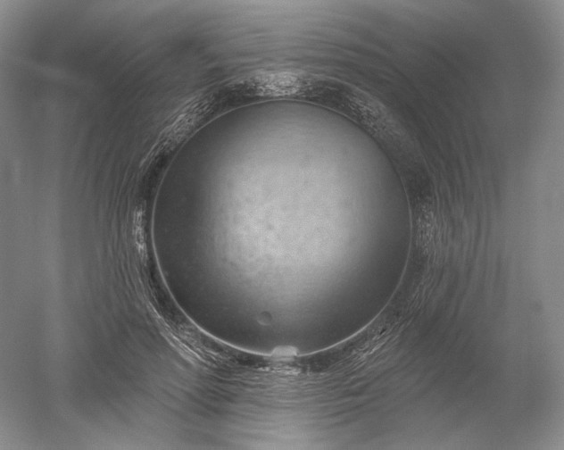 X0000052640598200507082007