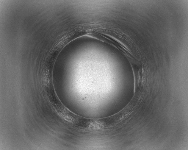 X0000052640599200507082007