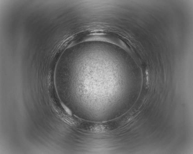 X0000052640600200507082007