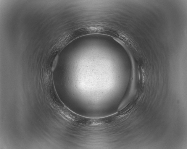 X0000052640601200507082007