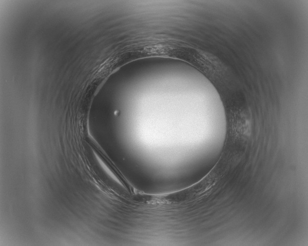 X0000052640603200507082007