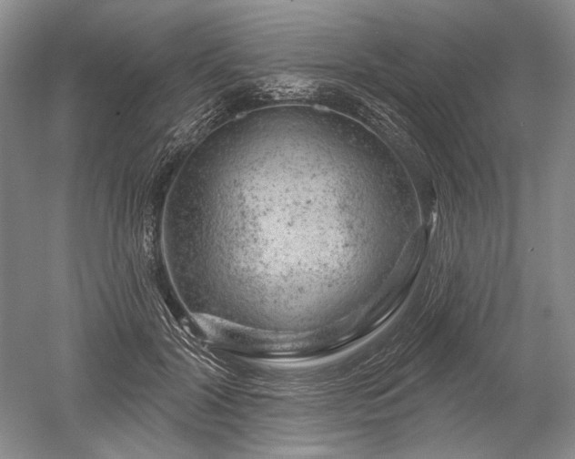 X0000052640604200507082007