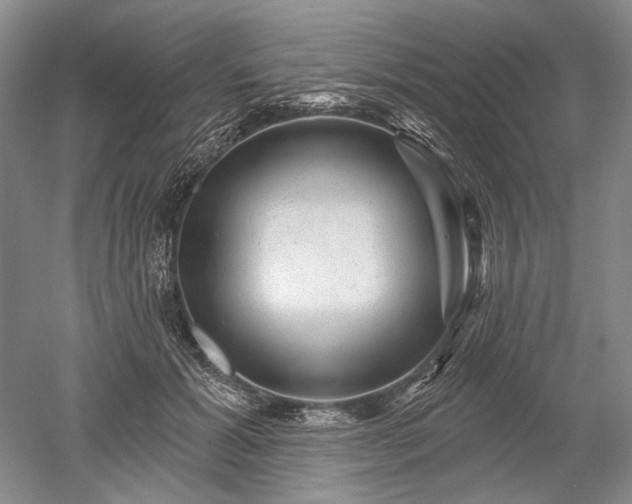 X0000052640605200507082007