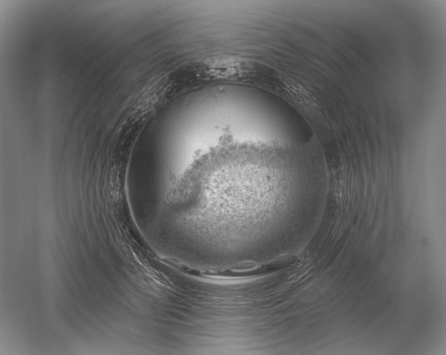 X0000052640606200507082007