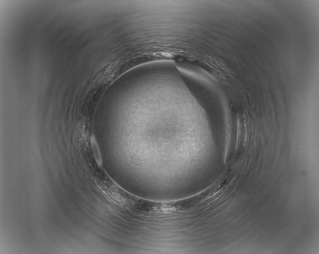 X0000052640607200507082007