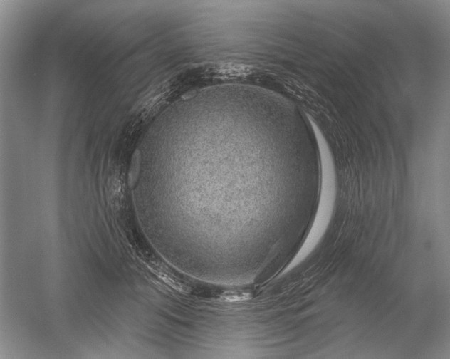 X0000052640608200507082007