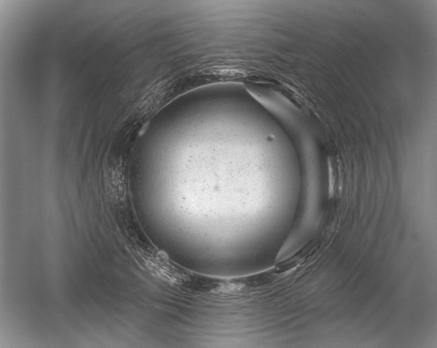 X0000052640609200507082007