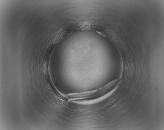 X0000052640610200507082007