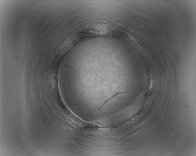 X0000052640612200507082007