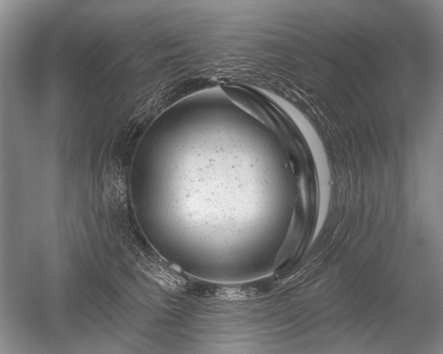 X0000052640613200507082007