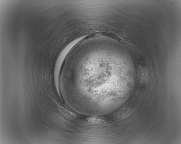 X0000052640614200507082007