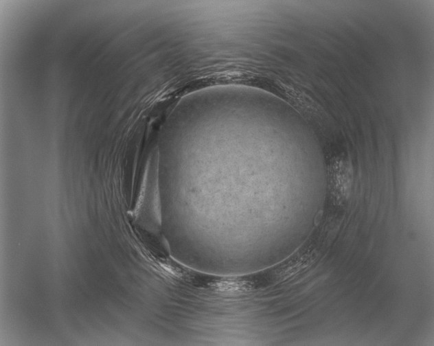 X0000052640615200507082007