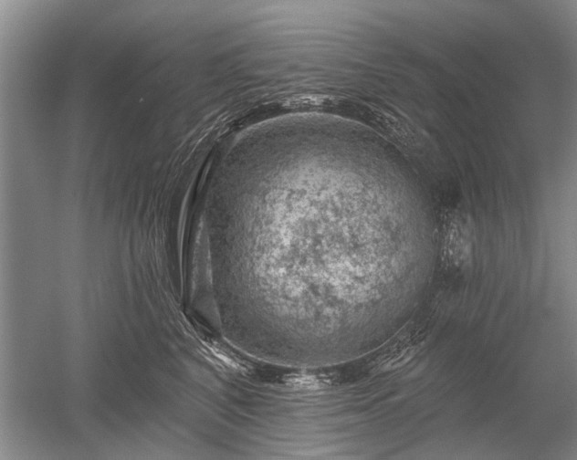 X0000052640616200507082007