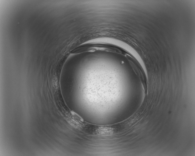 X0000052640617200507082007