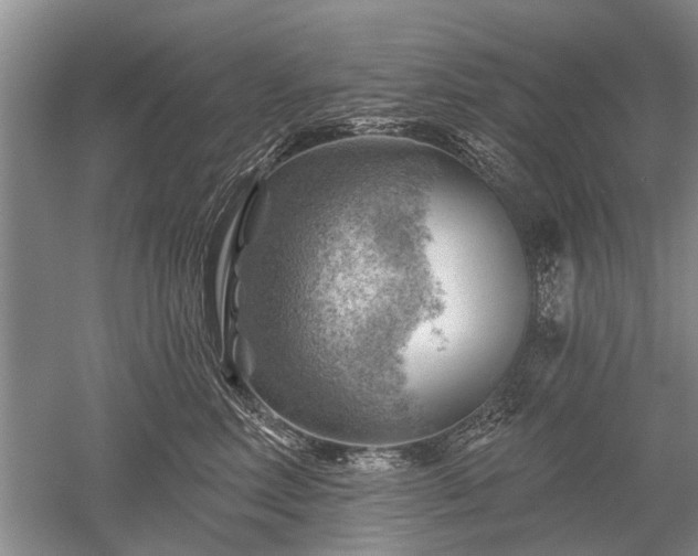 X0000052640618200507082007