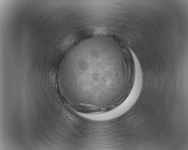 X0000052640619200507082007