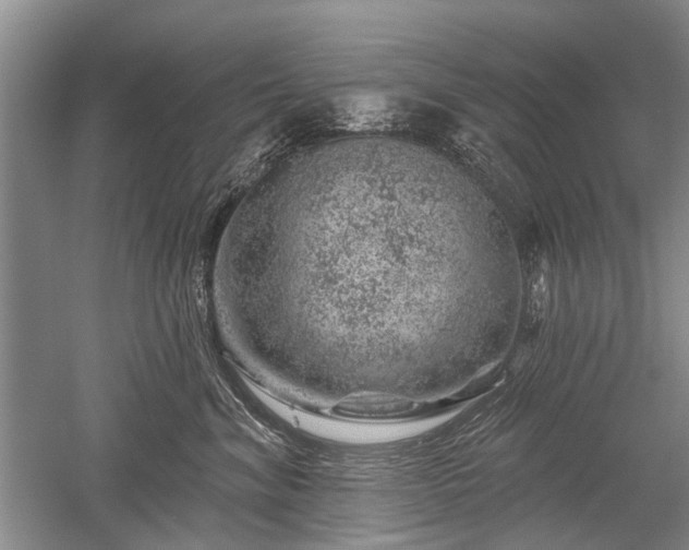 X0000052640620200507082007