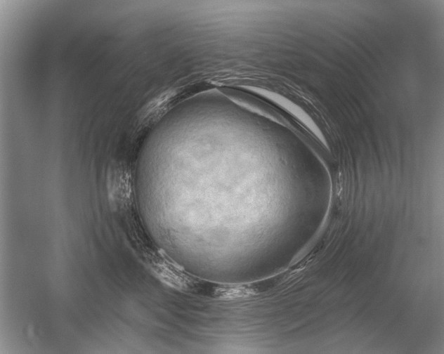 X0000052640621200507082007