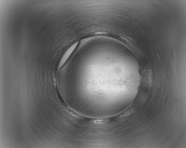 X0000052640622200507082007