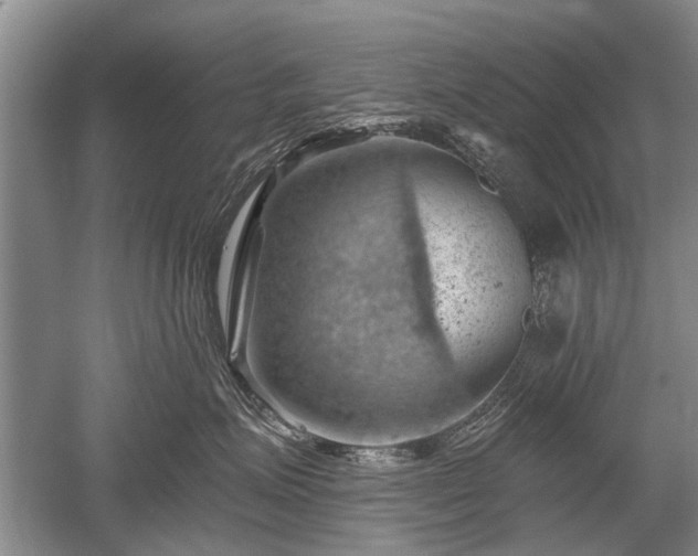 X0000052640623200507082007