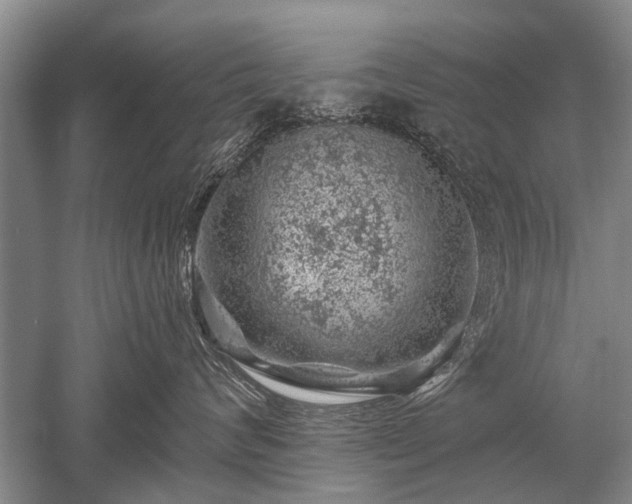 X0000052640624200507082007