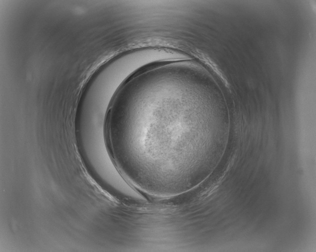 X0000052640625200507082006