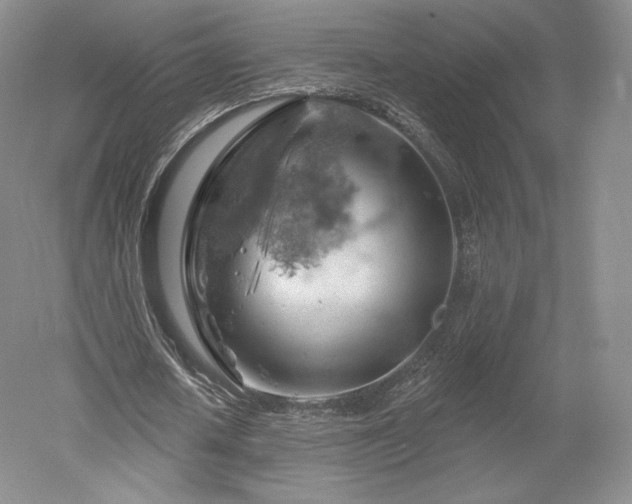 X0000052640626200507082006