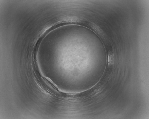 X0000052640627200507082006