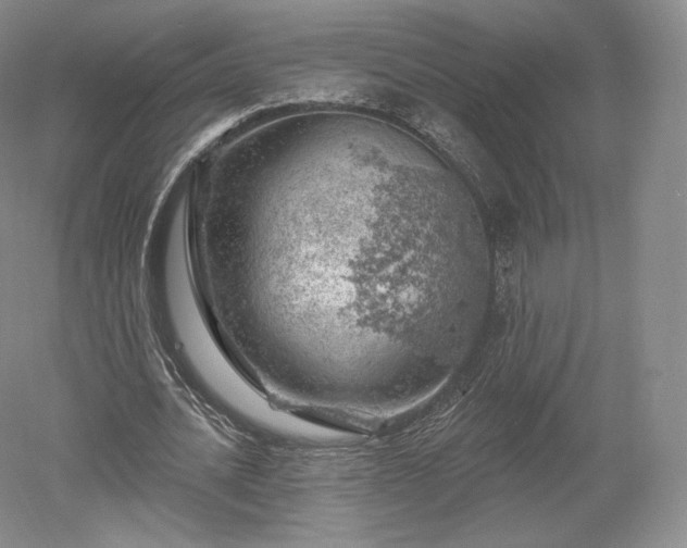 X0000052640628200507082006