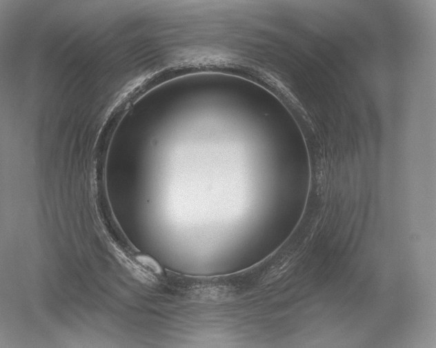 X0000052640629200507082006