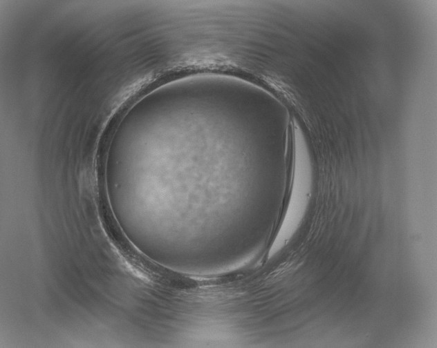 X0000052640630200507082006