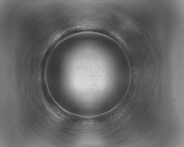 X0000052640631200507082006