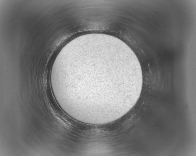 X0000052640632200507082006