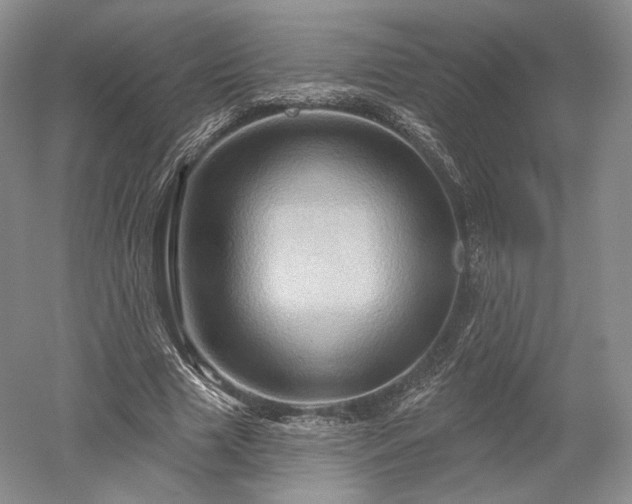 X0000052640633200507082006