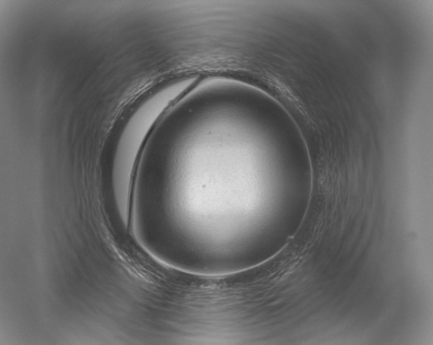 X0000052640635200507082006