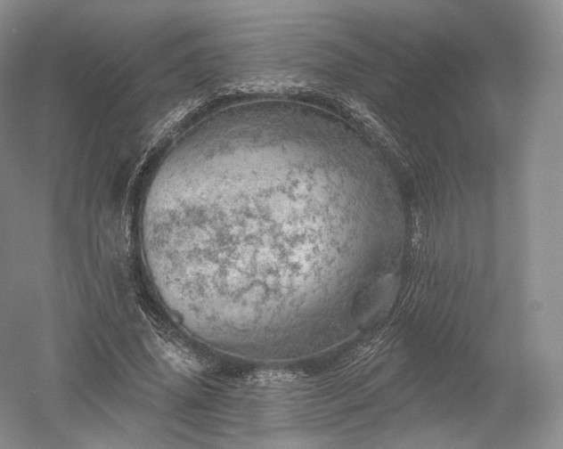 X0000052640636200507082006